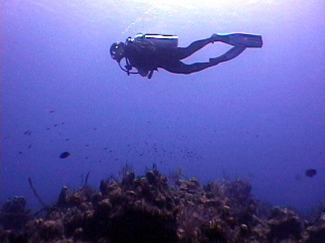 SCUBA-Training.net